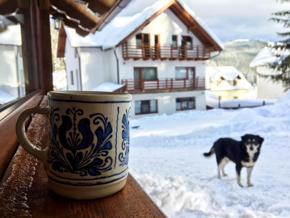 Cabana Ama Hotel Tău Bistra Eksteriør billede