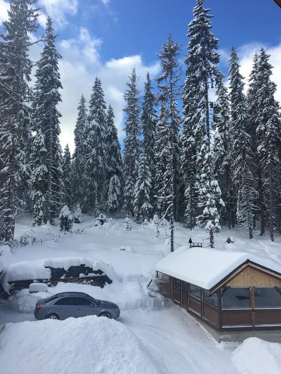 Cabana Ama Hotel Tău Bistra Eksteriør billede